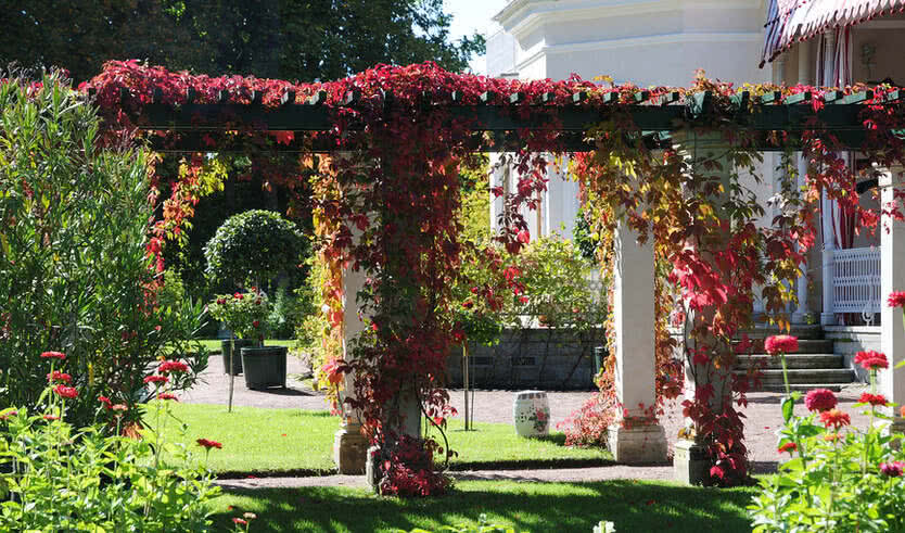 Фермерский дворец. Александрия- парк Петергофа – экскурсии и программы для детей от 345 рублей