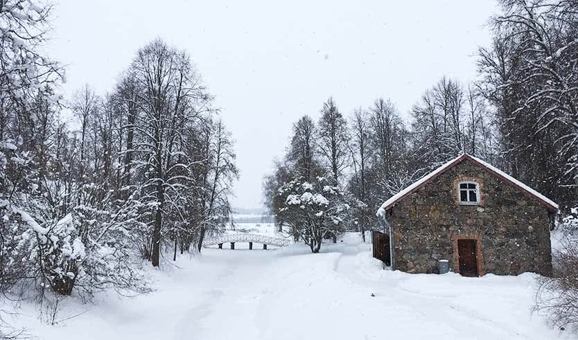 Пушкинские горы – туры и экскурсии в Псков от 7650 рублей