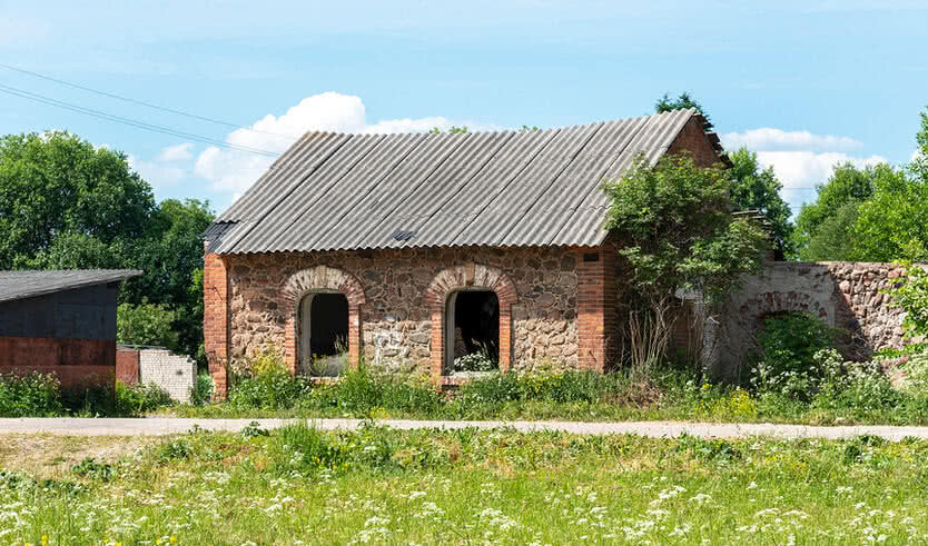По окрестностям Извары + дом-музей Н. К. Рериха (для заказных групп) – автобусные экскурсии для организованных групп от 1450 рублей