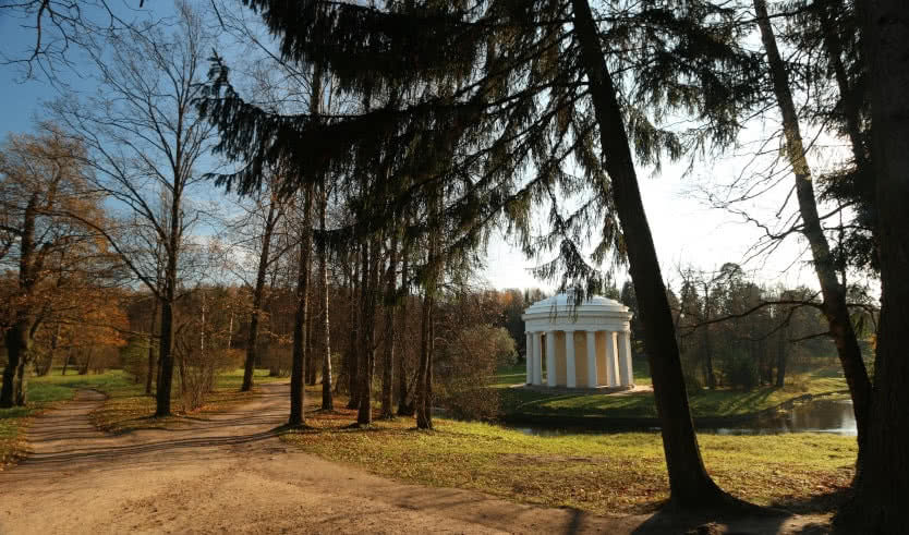 Выходные в Петербурге – тур для школьников — Туры в Санкт-Петербург для школьников от 4700 руб.
