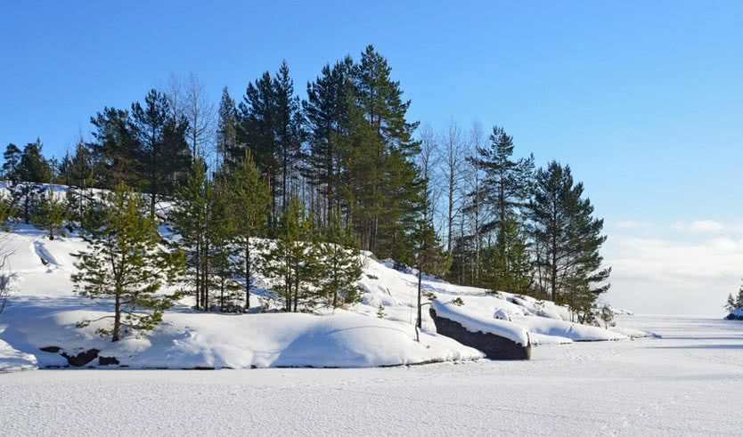 Ладожские шхеры – новогодние туры в Карелию от 106400 рублей