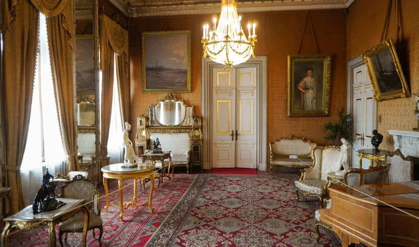 Дом Учёных (Дворец великого князя Владимира Александровича) — Индивидуальные (VIP) экскурсии и туры от 1400 рублей