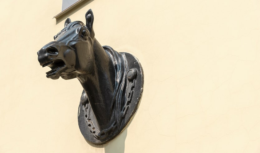 Ветеринарная станция центрального района – пешеходные экскурсии