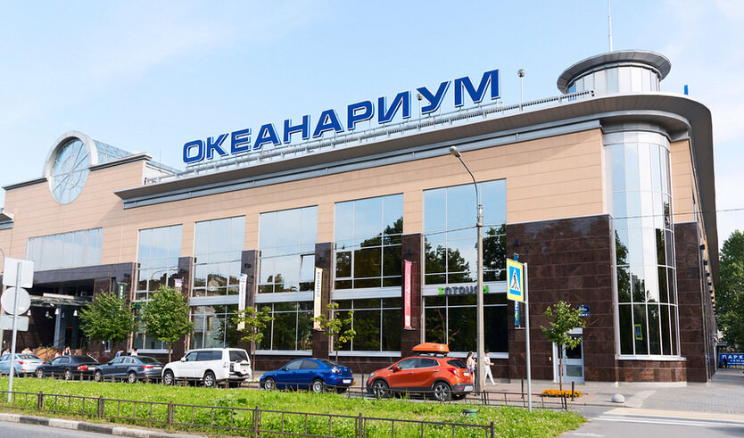 Петербургский Океанариум — Музеи