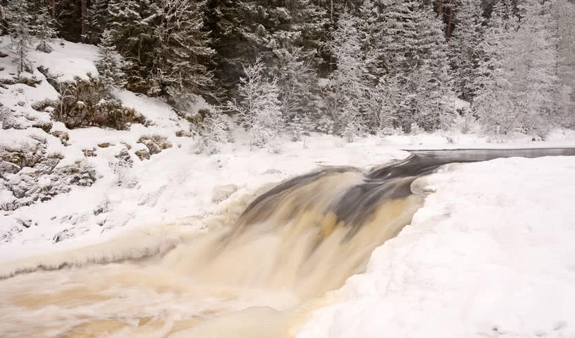 Зимние хиты Карелии – туры в Карелию от 20950 рублей