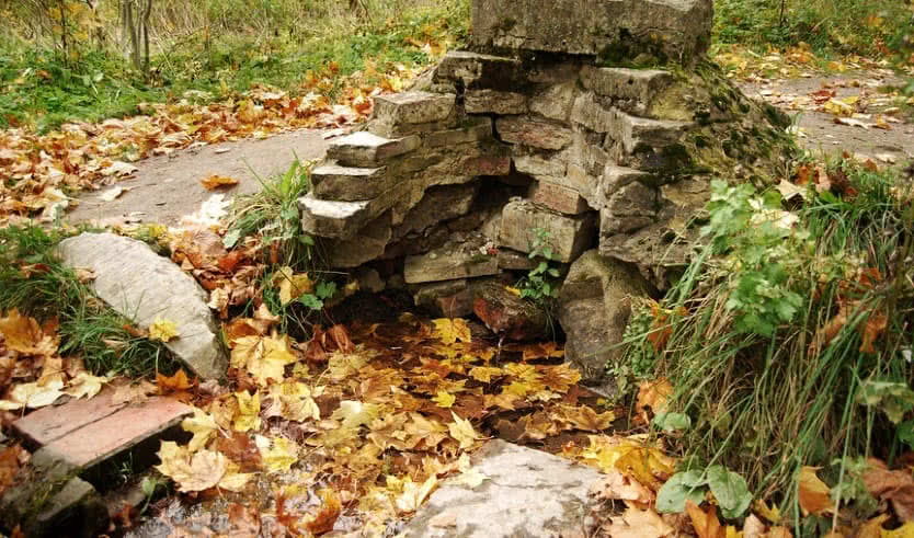 Царское Село. Баболовский парк (велосипедная экскурсия) – корпоративные мероприятия от 1600 рублей