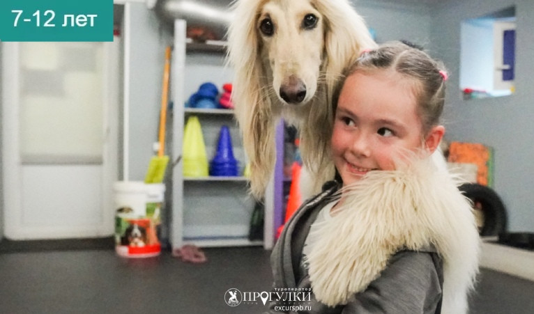 Кто такой кинолог – Детские экскурсии от 1200 рублей