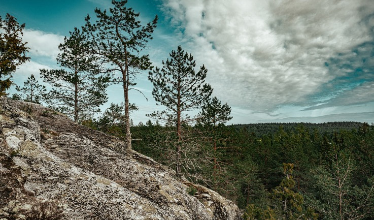 Карелия — тур в Карелию от 2750 рублей 