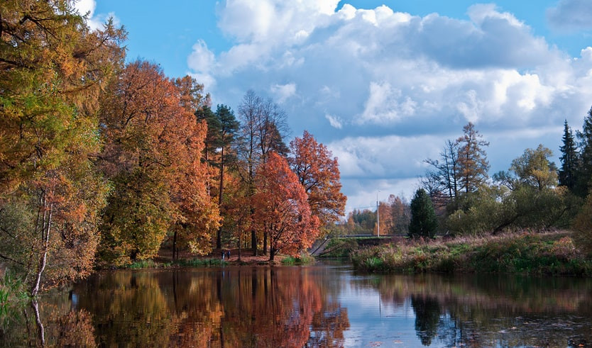 Парк «Приютино» – автобусные экскурсии от 1700 рублей