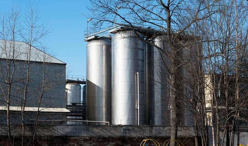 Шампанское в Петербурге (для заказных групп) — Экскурсии для организованных групп от 950 рублей