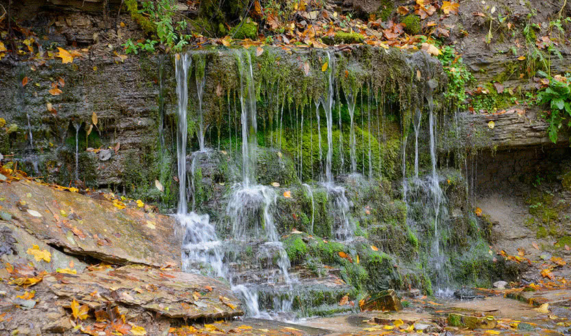 Псков, Изборск, Печоры на «Ласточке» – туры для школьников от 3950 рублей