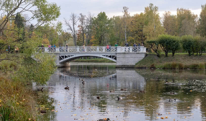 Сильвио Данини — последний придворный архитектор — Автобусные загородные