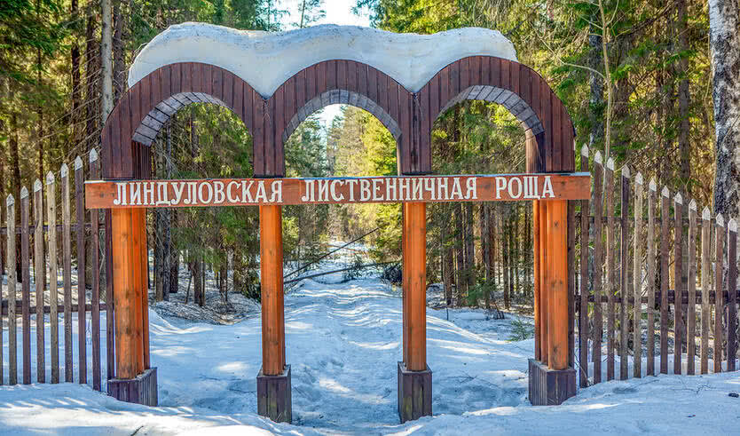 Карельский перешеек. Тайны природы (для заказных групп) — Автобусные загородные