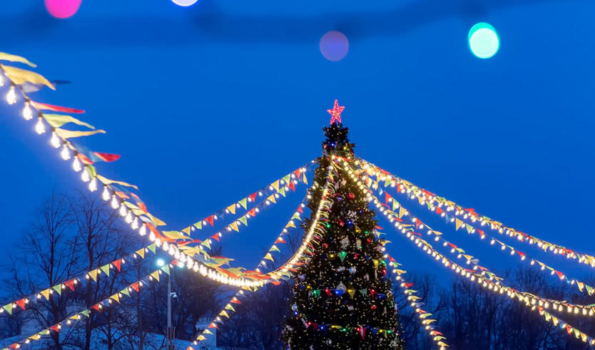 Новогодние огни (для групп) – автобусные экскурсии для организованных групп от 465 рублей