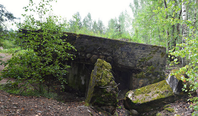 Линия Маннергейма – автобусные экскурсии