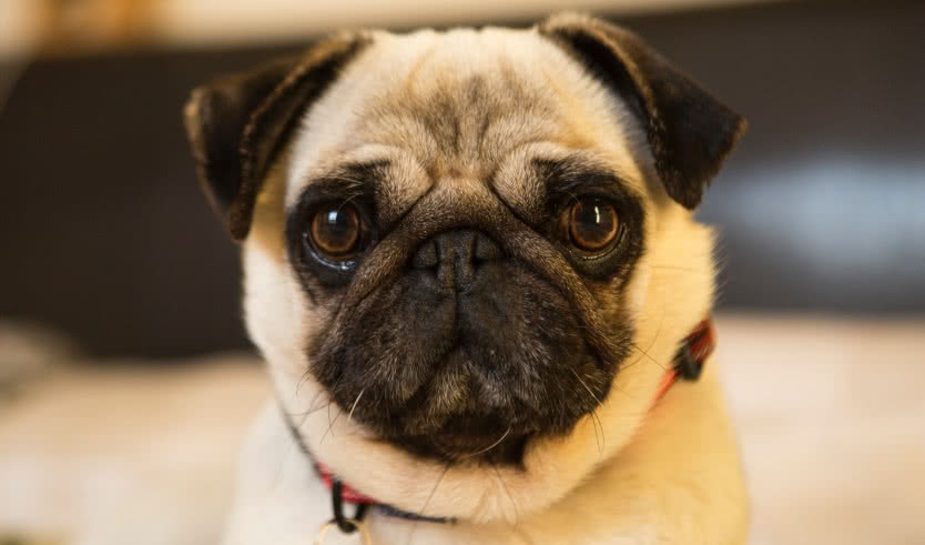 Квест «Люди в черном» – квесты и тимбилдинги от 2710 рублей