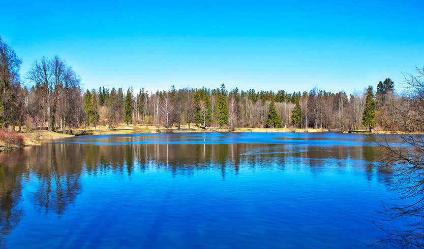 Жемчужины северных окрестностей Петербурга (для заказных групп) – экскурсии для организованных групп от 700 рублей