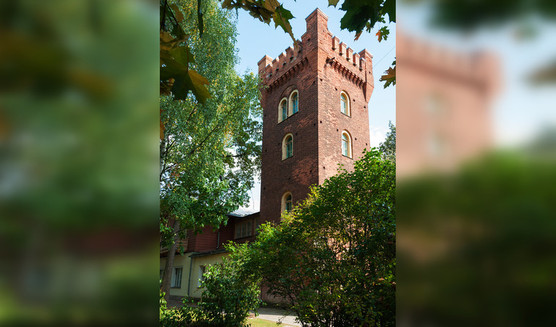 Малоизвестный Павловск — Автобусные загородные