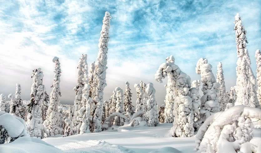 Зимний пейзаж — туры в Карелию от 30950 рублей