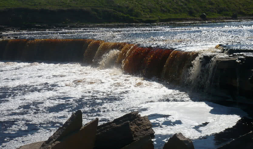 Саблинские пещеры (для школьных групп) — экскурсии и программы для детей от 1850 рублей