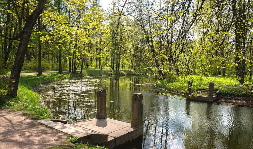Сильвио Данини — последний придворный архитектор — Автобусные загородные