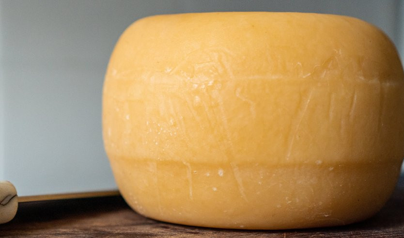 Сыр – загородные экскурсии от 3300 рублей