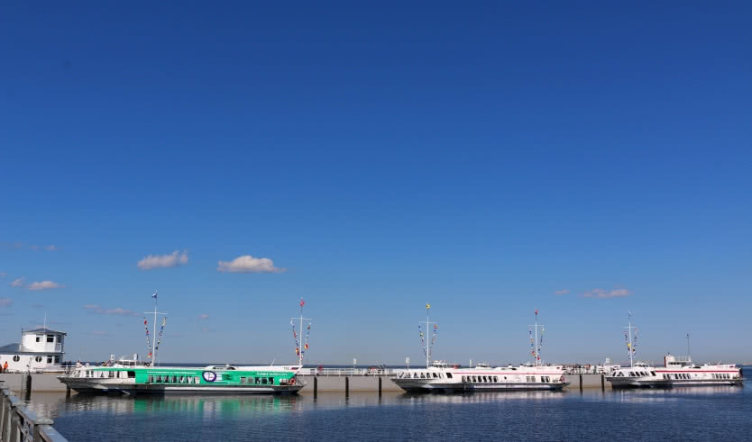 Петергоф на метеоре — экскурсия для заказных групп от 27800 рублей