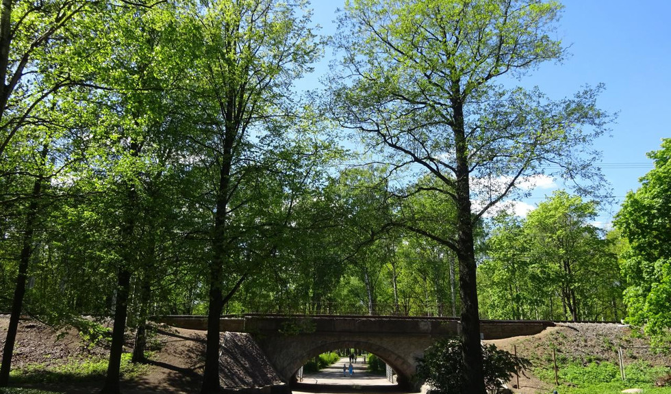 Удельный парк – пешеходные экскурсии от 1100 рублей