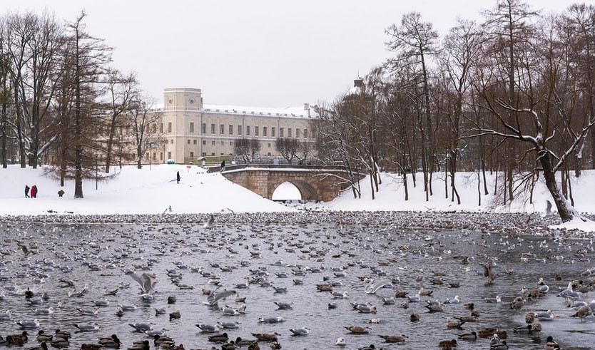 Гатчинский дворец – на ретропоезде
