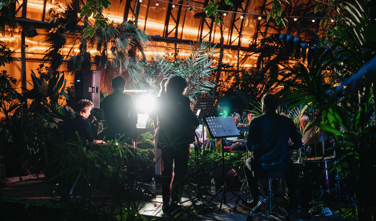 Выступление музыкальной группы – дворцы и особняки от 2500 рублей