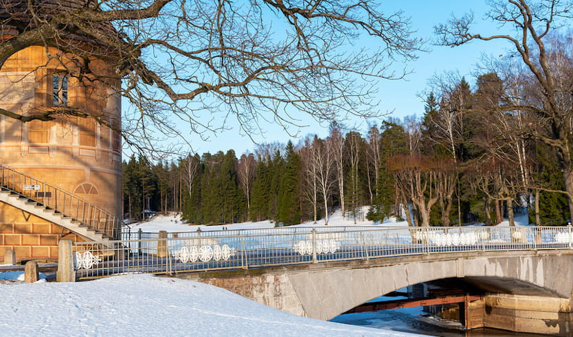 Очарование зимнего Павловска (с посещением Музея костюма) — автобусные экскурсии от 890 руб.