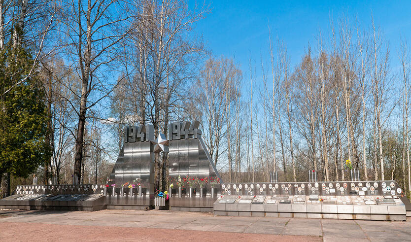 Синявинские высоты: по следам военных действий — Автобусные загородные
