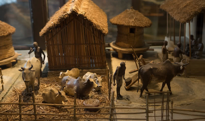 Экспозиция Кунсткамеры – экскурсии и программы для детей от 1700 рублей