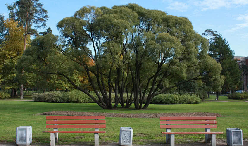 Жемчужины северных окрестностей Петербурга (для заказных групп) – экскурсии для организованных групп от 700 рублей