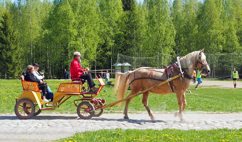 Верхние Мандроги – Речные круизы от 27300 рублей