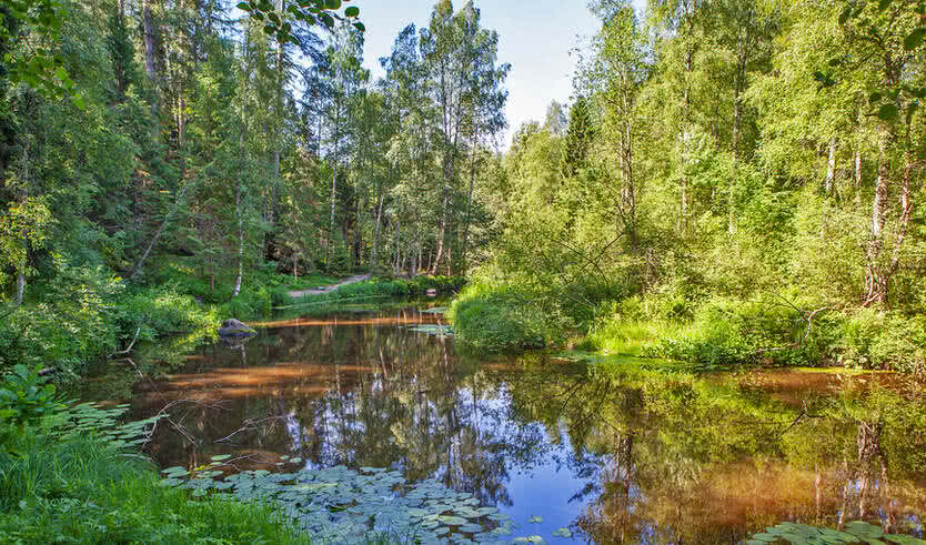 Карельский перешеек. Тайны природы (для заказных групп) — Автобусные загородные