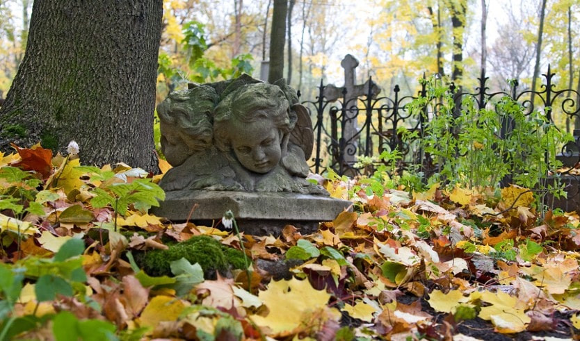 Волковское лютеранское кладбище – пешеходные экскурсии от 600 рублей