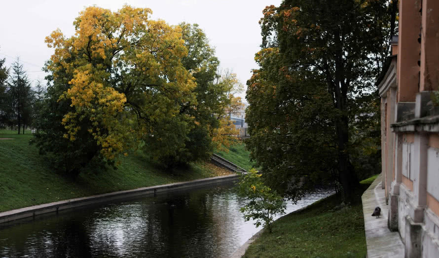 Обложка статьи Лучшие парки Петербурга для летних прогулок. СПб