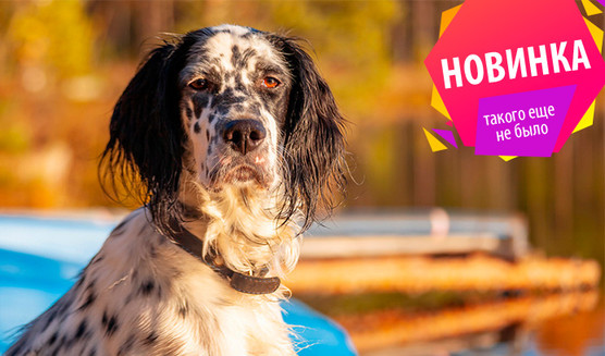 Аромолекция «На службе у императора» – лекции в Санкт-Петербурге от 3850 рублей