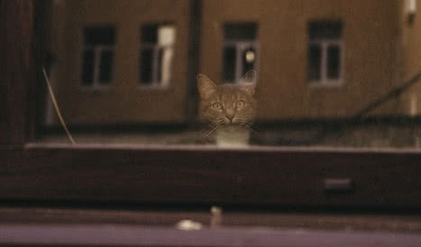 Дворы Петербурга – интерьерные экскурсии для заказных групп от 700 рублей