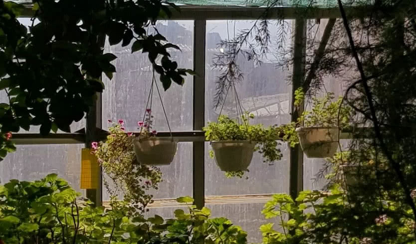 Ботанический сад Петра Великого (для школьных групп) — экскурсии и программы для детей от 360 рублей