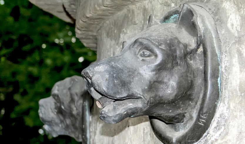 Институт Экспериментальной Медицины: музей и библиотека (для школьных групп) – экскурсии и программы для детей от 900 рублей