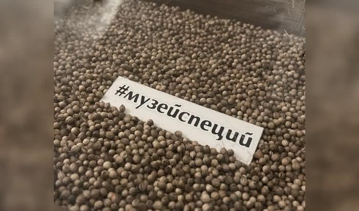 Черный перец – интерьерные экскурсии от 1000 рублей