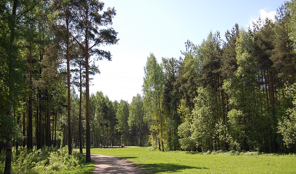 Парк «Сосновка» – пешеходные экскурсии от 1100 рублей