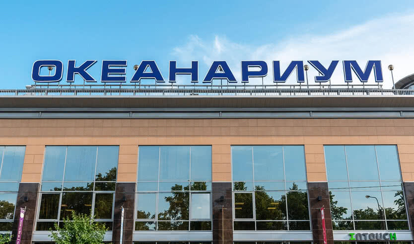 Экскурсия в Петербургский Океанариум (для групп) — Интерьерные
