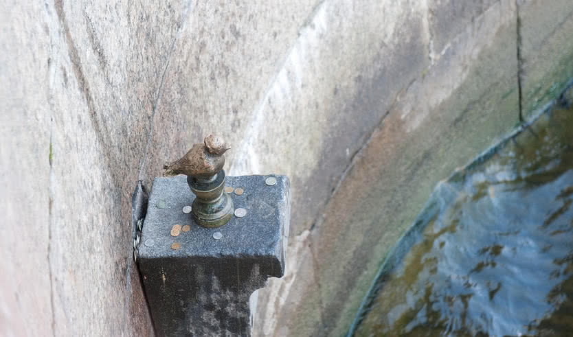 Памятник Чижику-Пыжику – квесты для школьников от 550 рублей