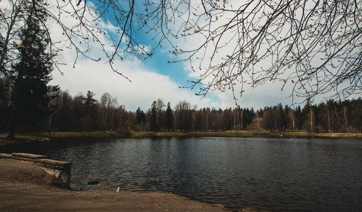 Таинственный Шуваловский парк – Пешеходные экскурсии