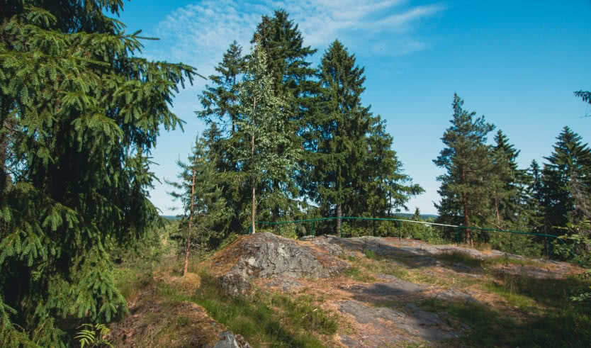 Два дня в Карелии — Индивидуальные (VIP) экскурсии и туры в Санкт-Петербурге от 4900 руб.