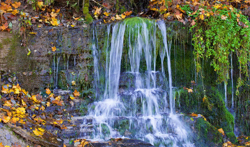 Псков, Изборск, Печоры (для школьных групп) – туры для школьников от 4700 рублей 