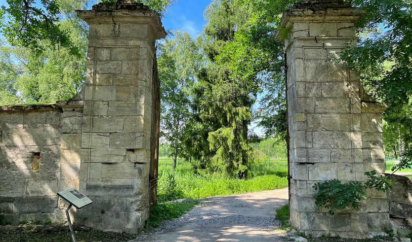 Царская охота — Автобусные загородные
